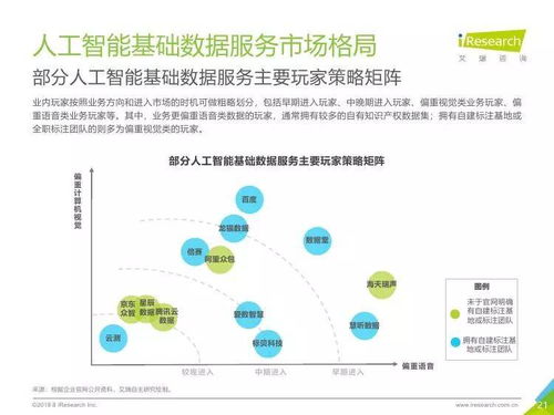 中國人工智能基礎數據服務行業(yè)報告 聚焦人工智能基礎軟件開發(fā)的核心引擎